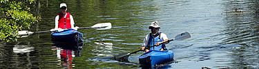 Two kayakers paddle along the blue bayou at the Barataria Preserve.